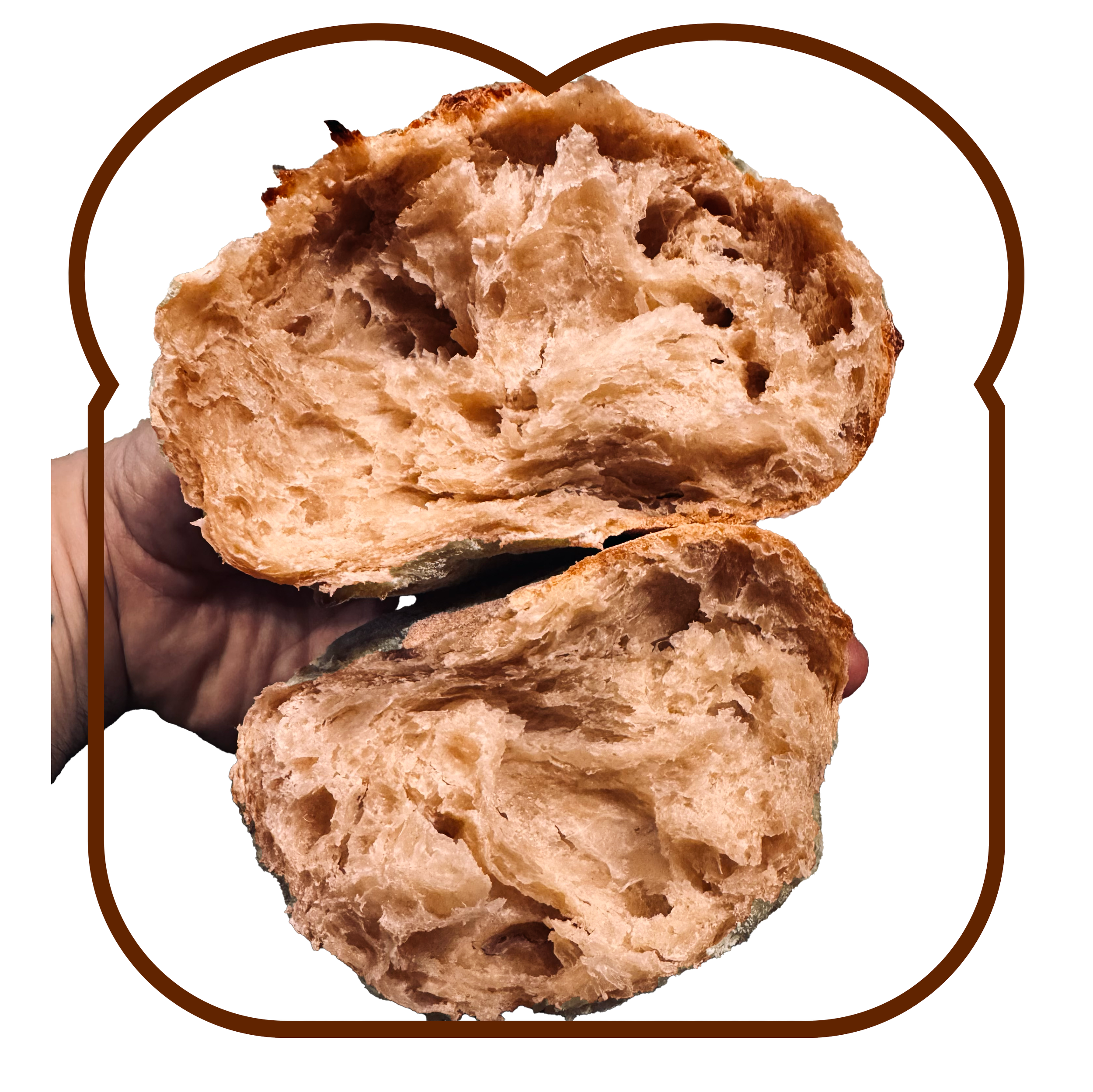 The Bread Bear